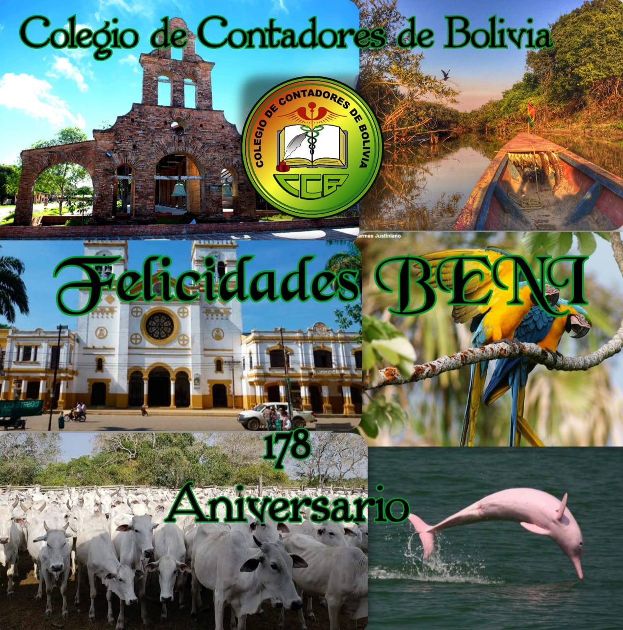 WhatsApp Image 2020 11 18 at 08.56.22